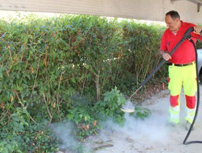 Image showcasing eco-friendly nature strip and pathway maintenance using steam weed control technology, highlighting its environmental sustainability.