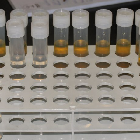 Image depicting advanced cleaning equipment by Duplex Cleaning Machines, designed for the stringent hygiene demands of pharmaceutical facilities.