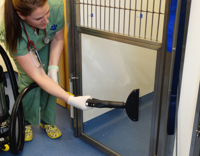 Image displaying Duplex Cleaning Machines' solutions for sanitising animal enclosures in veterinary clinics, ensuring optimal hygiene and safety.