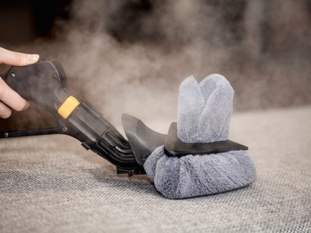 Image of Duplex Cleaning Machines' steam cleaner effectively eliminating bedbugs without the use of chemicals.