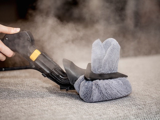 Image of Duplex Cleaning Machines' steam cleaner effectively eliminating bedbugs without the use of chemicals.