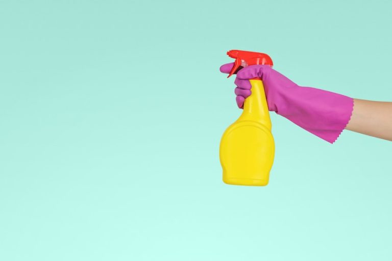 Photo Carpet cleaner