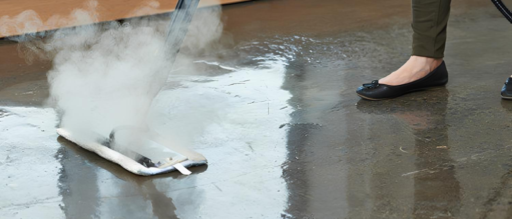 Image of the Duplex commercial steam cleaner equipped with a steam mop, designed for cleaning both hard floors and carpeted areas.