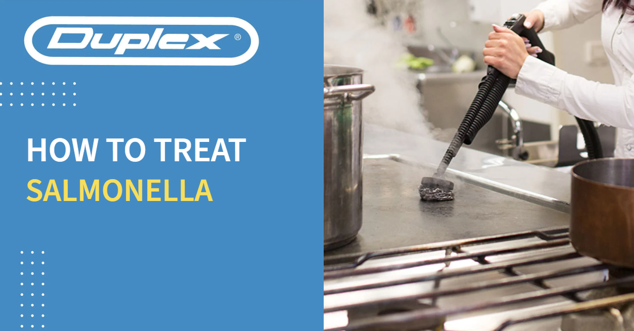How to treat salmonella banner