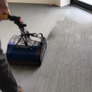 Duplex floor machine cleaning low-pile commercial carpet near a glass door.