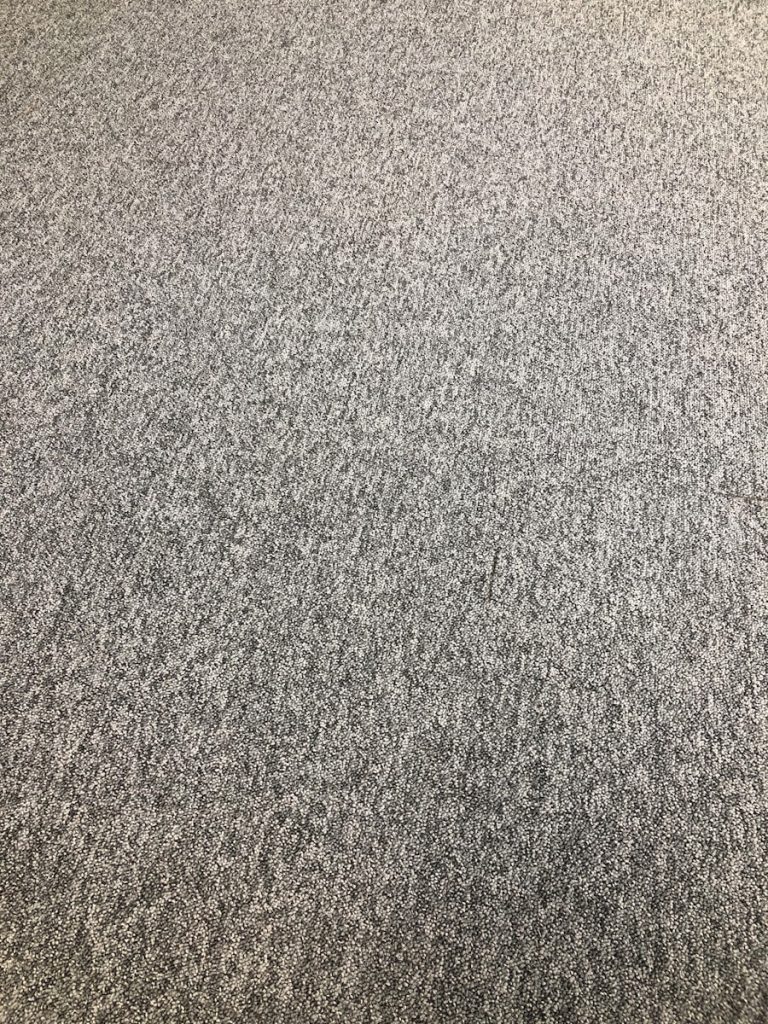 Photo Professional Carpet Cleaner machine
