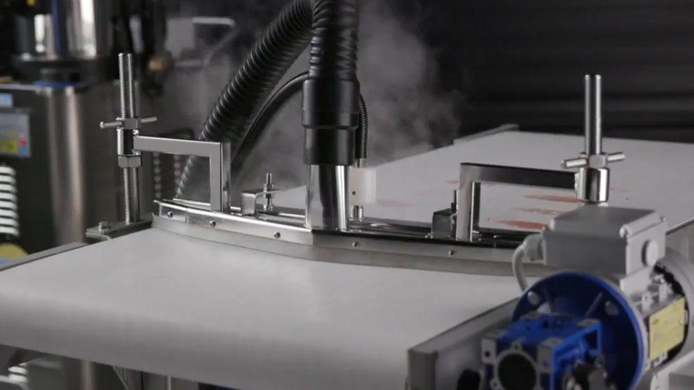Clean-in-Place in Conveyor Cleaning