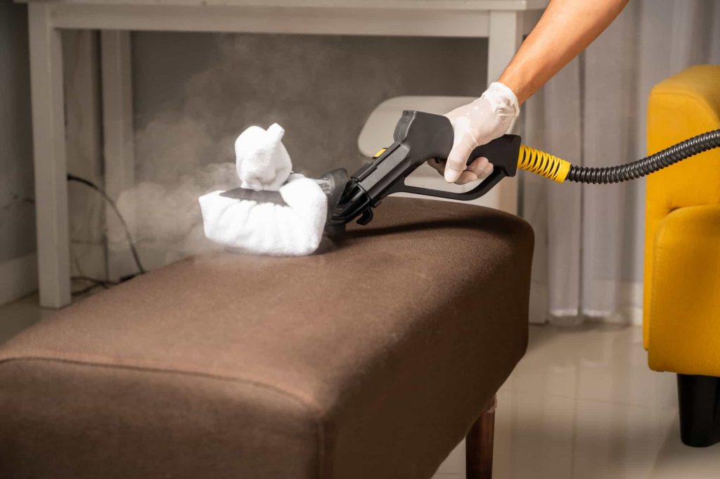 Steam vapour cleaning